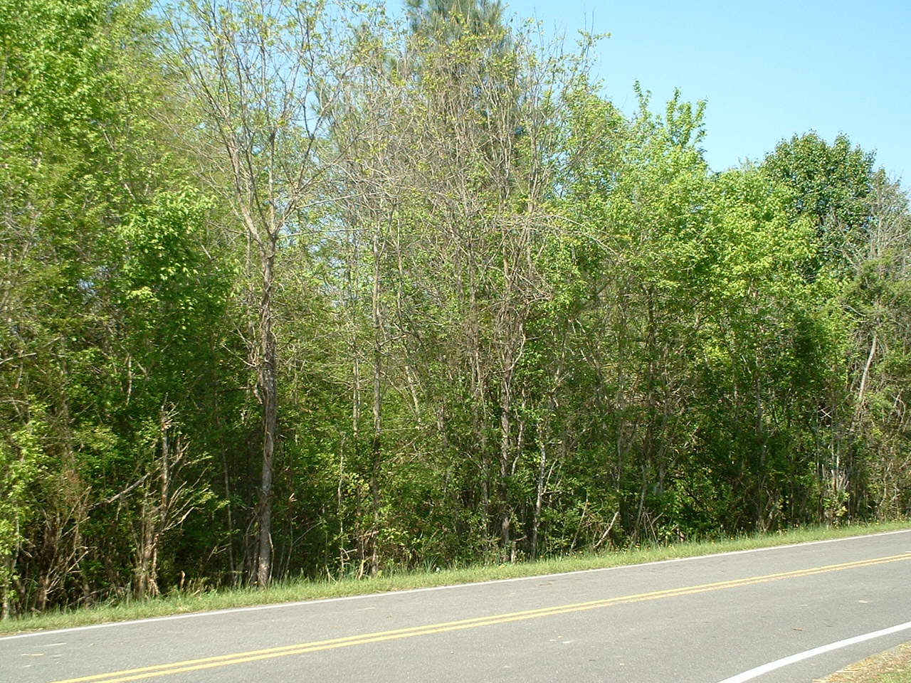 Gallery photo 2